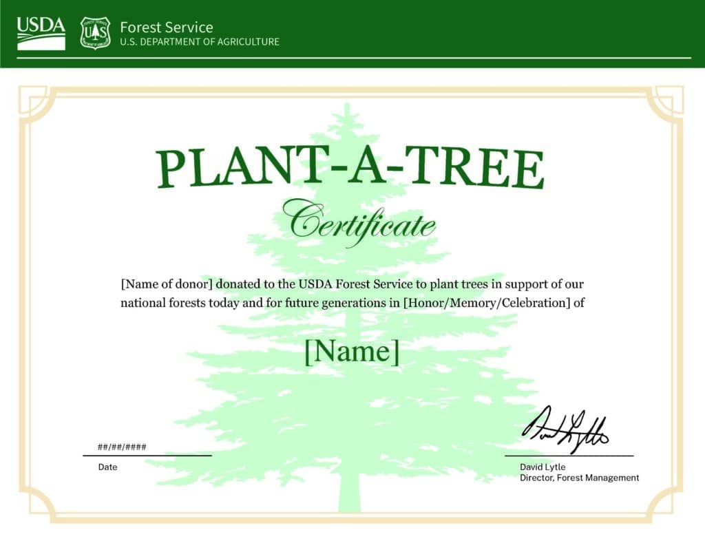 Transform Retired Tech into Environmental Impact with Beyond Surplus